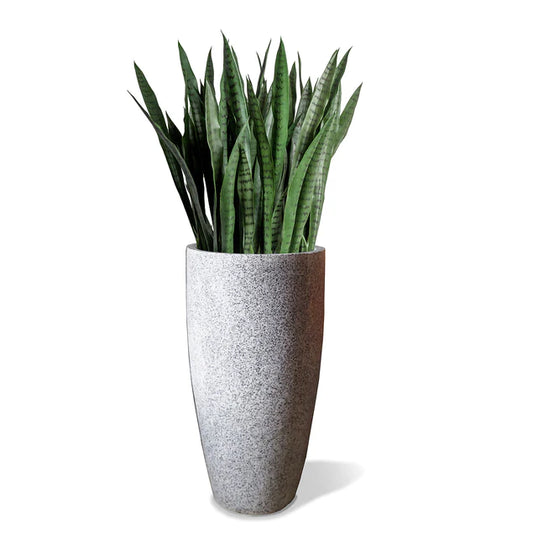 Sansevieria In Kawa Planter, Granite White, Value Engineered By Gold Leaf Design Group | Planters, Troughs & Cachepots | Modishstore