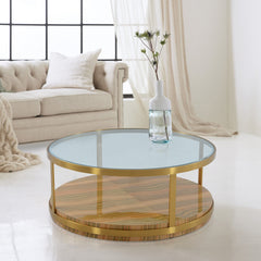 Hattie Glass Top Coffee Table with Brushed Gold Legs By Armen Living