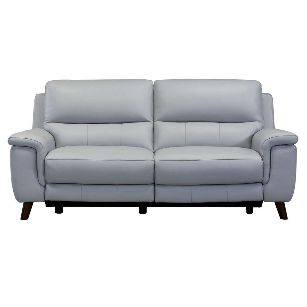 Lizette Contemporary Sofa in Dark Brown Wood Finish and Dove Gray Genuine Leather By Armen Living | Sofas | Modishstore - 2