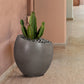 Moonstone Large Indoor or Outdoor Planter in Grey Concrete By Armen Living | Planters, Troughs & Cachepots | Modishstore