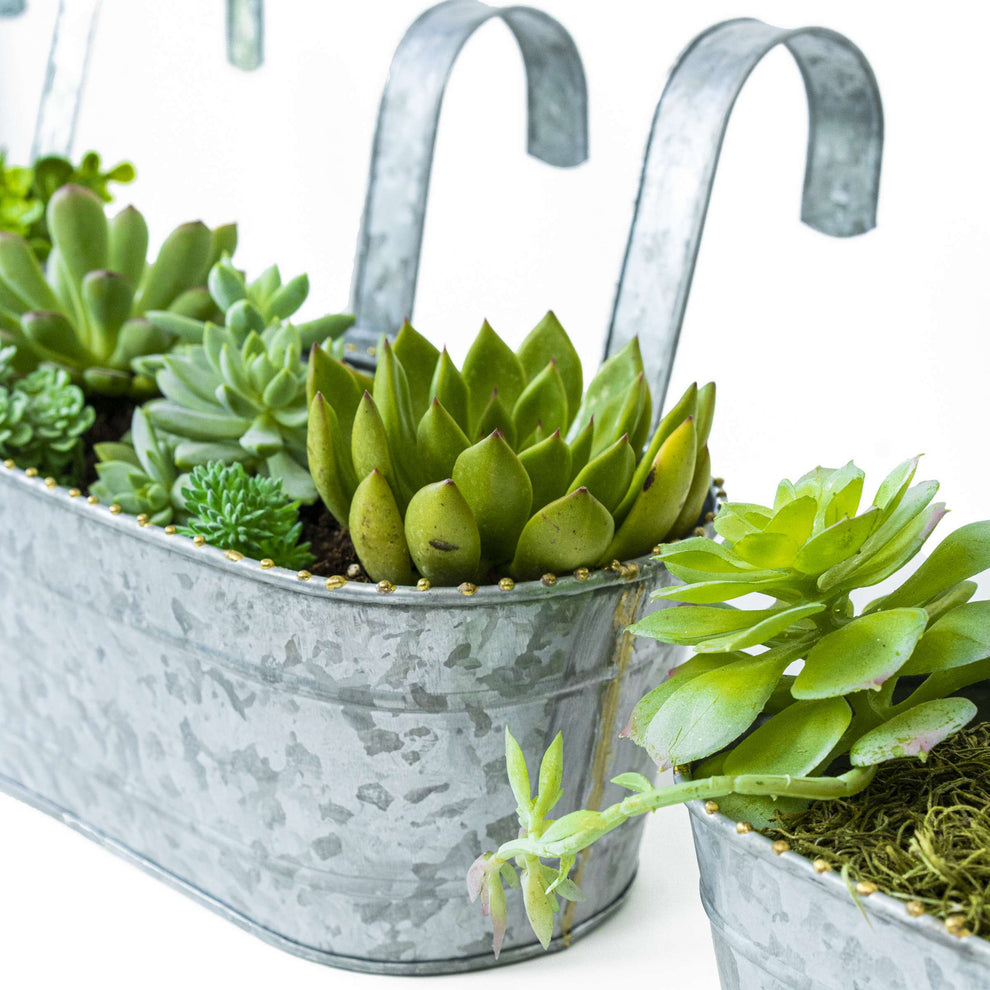 Wall/Railing/Deck Planters Zinc Finish, Oblong, Set of 9-7