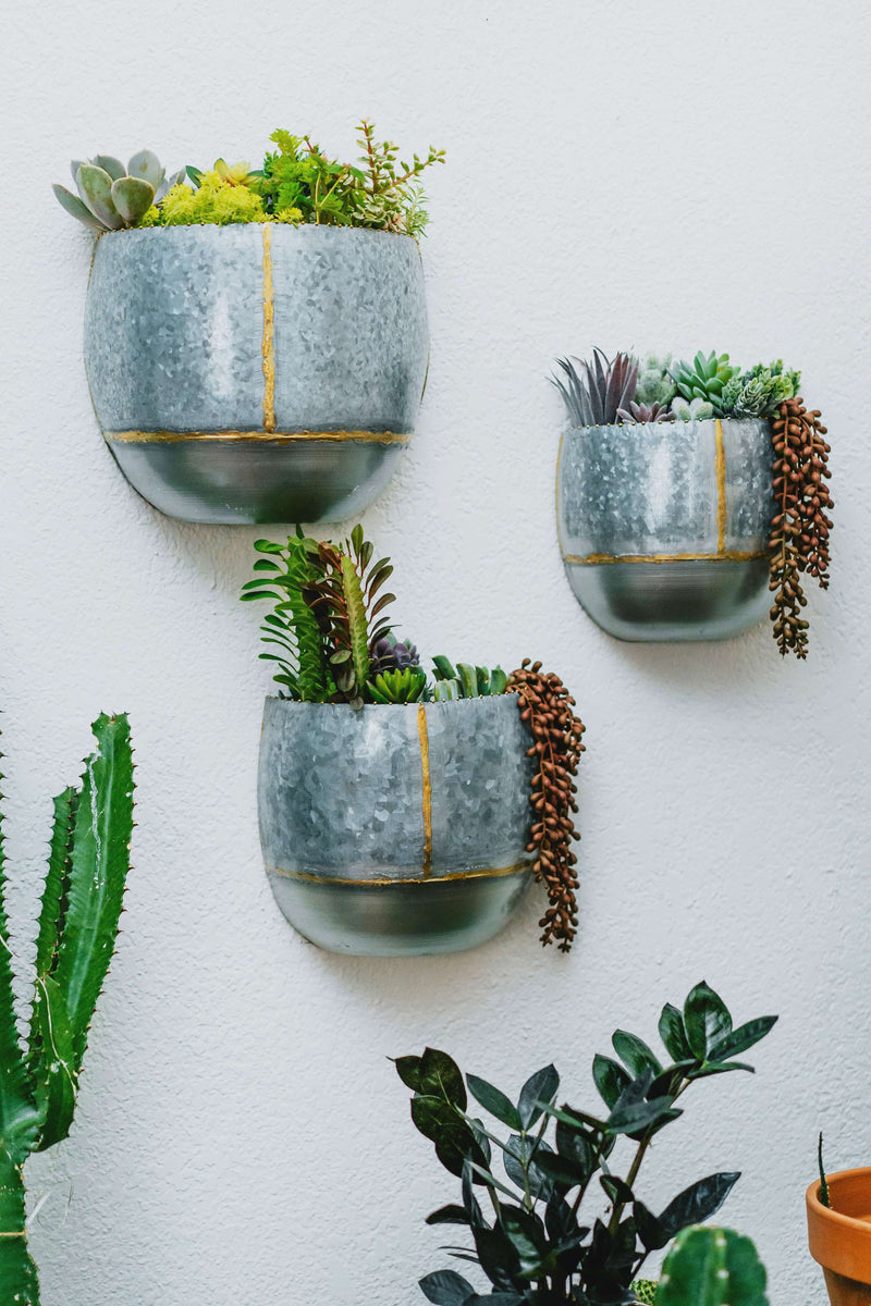 brass wall hanging planter Briza Pocket Wall Hanging or Tabletop Planters, Set of 3 by Artisan Living