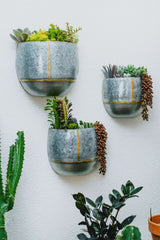 Briza Pocket Wall Hanging or Tabletop Planters, Set of 3 by Artisan Living