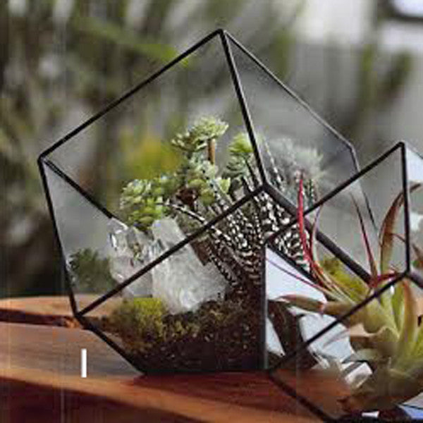 Roost Cubist Terrariums