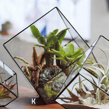Roost Cubist Terrariums