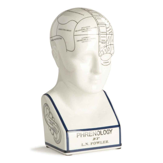 Phrenology Head Small By Authentic Models | Sculptures | Modishstore