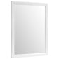 Tracy Mirror by Modway - MOD-5243 | Mirrors | Modishstore - 2