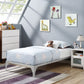 Ollie Twin Bed Frame By Modway - MOD-5747 | Beds | Modishstore - 16