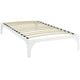 Ollie Twin Bed Frame By Modway - MOD-5747 | Beds | Modishstore - 22