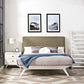 Tracy Queen Bed By Modway - MOD-5766 | Beds | Modishstore - 16