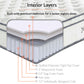 Modway Jenna 10" Twin Innerspring Mattress - MOD-5768 | Mattresses | Modishstore - 8