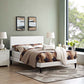 Macie Full Vinyl Platform Bed with Squared Tapered Legs By Modway - MOD-5968 | Beds | Modishstore - 1