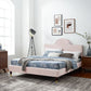 Aurora Performance Velvet Queen Bed By Modway - MOD-6517 | Beds | Modishstore - 47