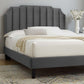 Colette Queen Performance Velvet Platform Bed By Modway - MOD-6585 | Beds | Modishstore - 1
