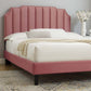 Colette Queen Performance Velvet Platform Bed By Modway - MOD-6585 | Beds | Modishstore - 17