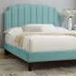 Colette Queen Performance Velvet Platform Bed By Modway - MOD-6585 | Beds | Modishstore - 56