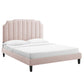 Colette Queen Performance Velvet Platform Bed By Modway - MOD-6585 | Beds | Modishstore - 81