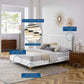 Reagan Queen Performance Velvet Platform Bed By Modway - MOD-6586 | Beds | Modishstore - 105