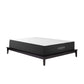 Modway Aveline 12" Memory Foam King Mattress - MOD-6601 | Beds | Modishstore - 1