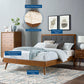 Willow Full Wood Platform Bed With Splayed Legs By Modway - MOD-6637 | Beds | Modishstore - 43