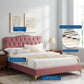 Amber Performance Velvet Queen Platform Bed By Modway - MOD-6775 | Beds | Modishstore - 22
