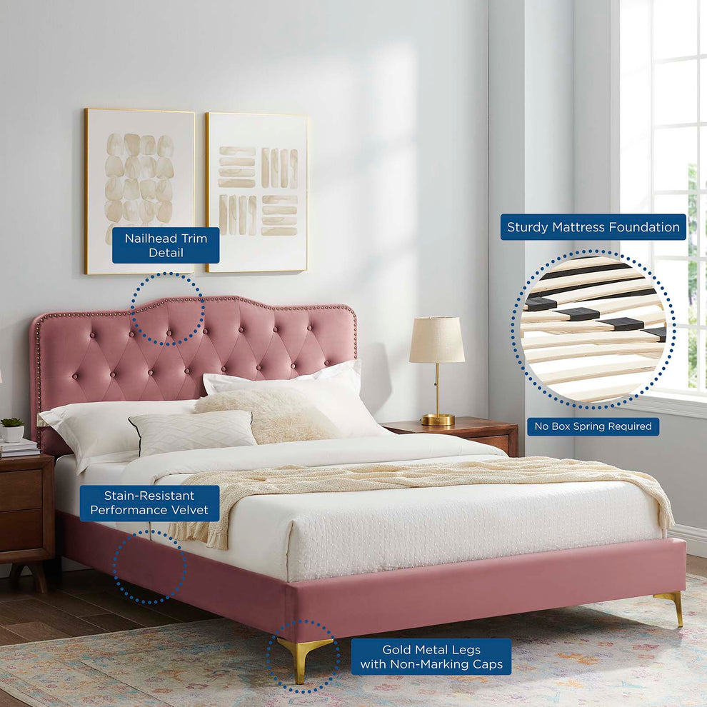 Amber Performance Velvet Queen Platform Bed By Modway - MOD-6775 | Beds | Modishstore - 22