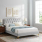 Amber Performance Velvet Queen Platform Bed By Modway - MOD-6775 | Beds | Modishstore - 38