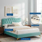Amber Performance Velvet Queen Platform Bed By Modway - MOD-6775 | Beds | Modishstore - 52