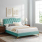Amber Performance Velvet Queen Platform Bed By Modway - MOD-6775 | Beds | Modishstore - 53