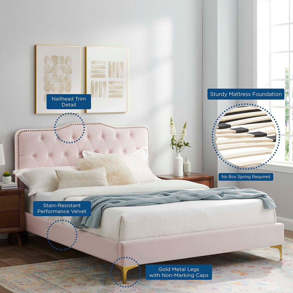 Amber Performance Velvet Queen Platform Bed By Modway - MOD-6775 | Beds | Modishstore - 82