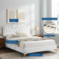 Amber Performance Velvet Queen Platform Bed By Modway - MOD-6775 | Beds | Modishstore - 112