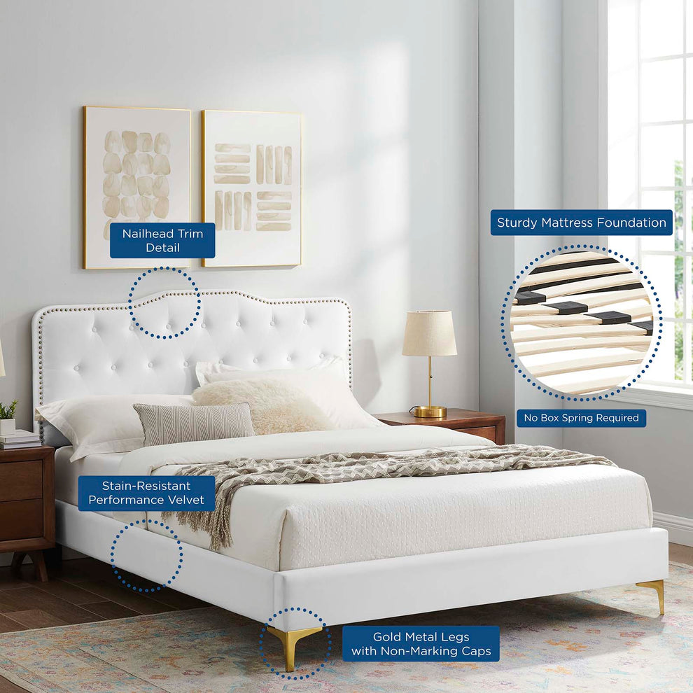 Amber Performance Velvet Queen Platform Bed By Modway - MOD-6775 | Beds | Modishstore - 112