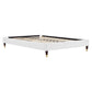 Amber Performance Velvet Queen Platform Bed By Modway - MOD-6776 | Beds | Modishstore - 108