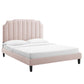 Colette Twin Performance Velvet Platform Bed By Modway - MOD-6884 | Beds | Modishstore - 81