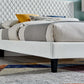 Garcelle Performance Velvet Full Platform Bed By Modway - MOD-7040-CHA | Beds |  Modishstore - 23