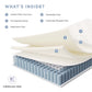 Jenna 12" Innerspring and Foam Twin Mattress By Modway - MOD-7087 | Mattresses | Modishstore - 12