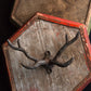 Vagabond Vintage Pewter Antler Hook in Grey Black - Set of 2 | Modishstore | Hooks & Racks