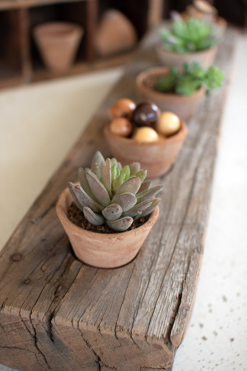 Recycled Wooden Base With Five Clay Succulent Holders By Kalalou | Planters |  Modishstore  - 3