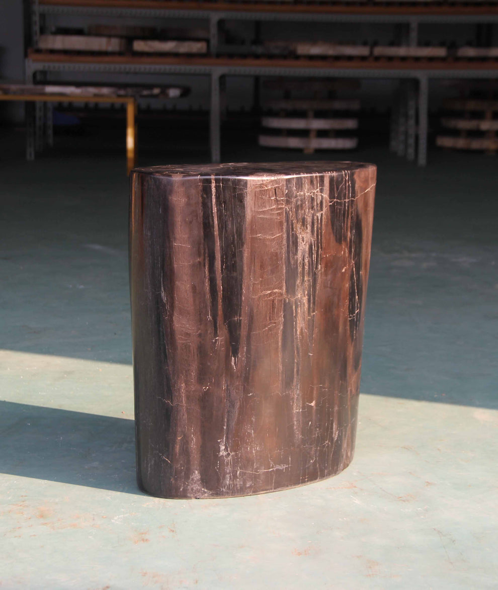 Petrified Wood Stool 16" x 9" x 16"H - PFST6/3-4