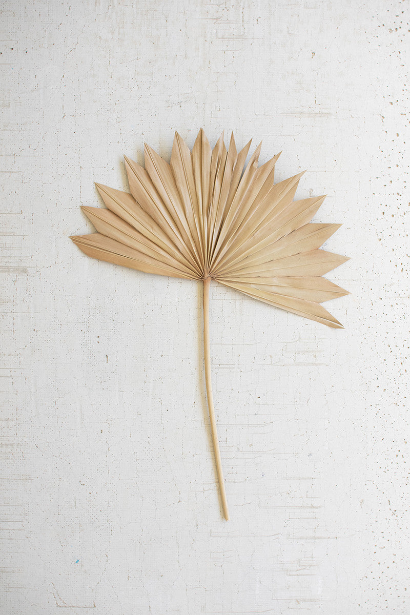 Large Natural Sun Palm Spear By Kalalou | Botanicals | Modishstore
