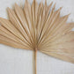 Large Natural Sun Palm Spear By Kalalou | Botanicals | Modishstore - 2