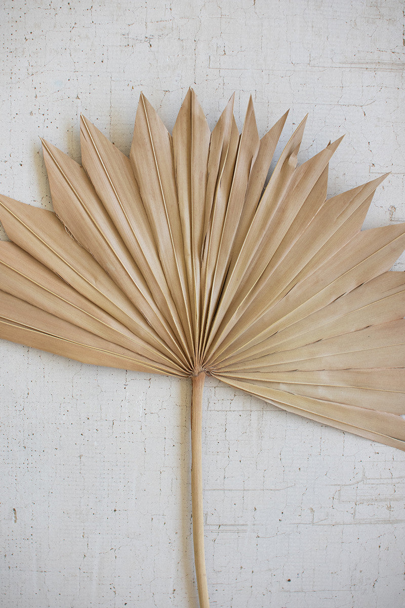 Large Natural Sun Palm Spear By Kalalou | Botanicals | Modishstore - 2