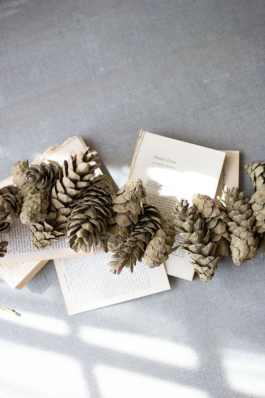 Frosted Sage Pinecone Garland - S/6 by Kalalou | Modishstore | Garland & Wreath