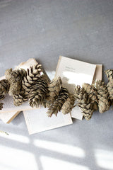 Frosted Sage Pinecone Garland - S/6 By Kalalou