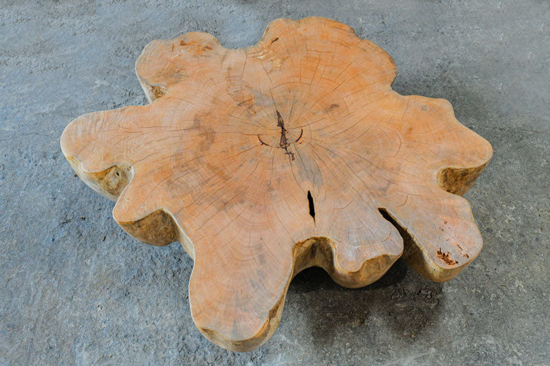 Mango Wood Low Coffee Table by Artisan Living-ALF1164-2