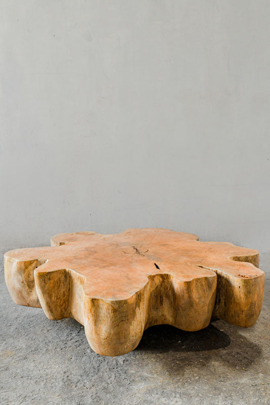 Mango Wood Low Coffee Table by Artisan Living-ALF1163 | ModishStore | Coffee Tables