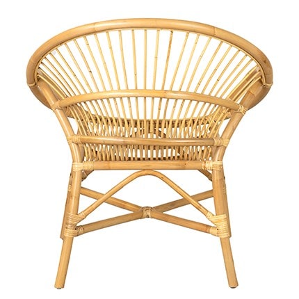Aleia Rattan Occasional Chair by Jeffan | Outdoor Chairs | Modishstore - 3