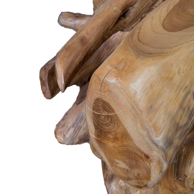 Organic Teakwood Coffee Table by Jeffan | Coffee Tables | Modishstore - 2