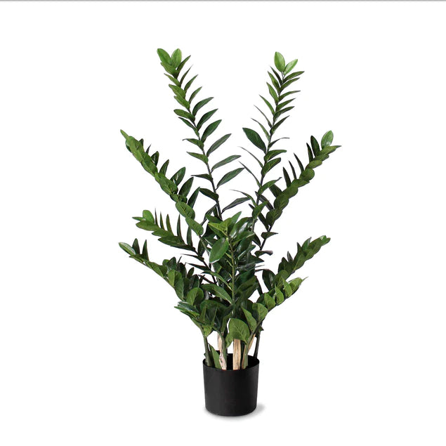 ZZ Plant 38"H, Potted Set Of 2 By Gold Leaf Design Group | Planters, Troughs & Cachepots |  Modishstore