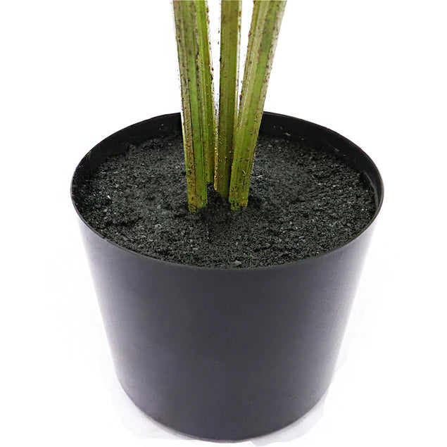 LC Cannabis Plant, 72"H, potte By Gold Leaf Design Group | Planters, Troughs & Cachepots | Modishstore - 2